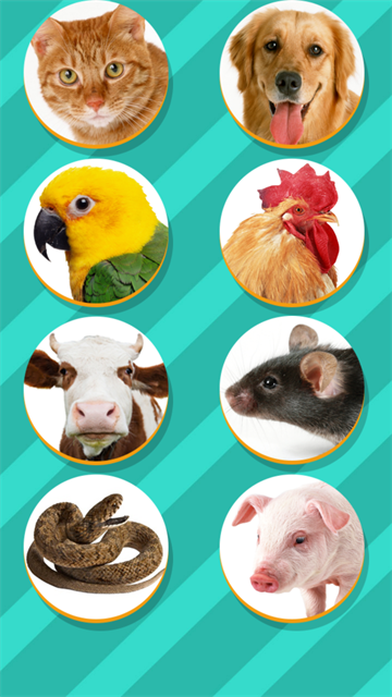 PetTranslator動物語言翻譯器下載