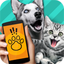 PetTranslator動物語言翻譯器