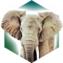 方舟動物園